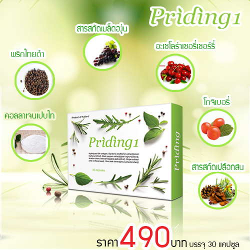ผลิตภัณฑ์เสริมอาหาร ไพรดิ้งวัน ผลิตภัณฑ์เสริมอาหาร ไพรดิ้งวัน