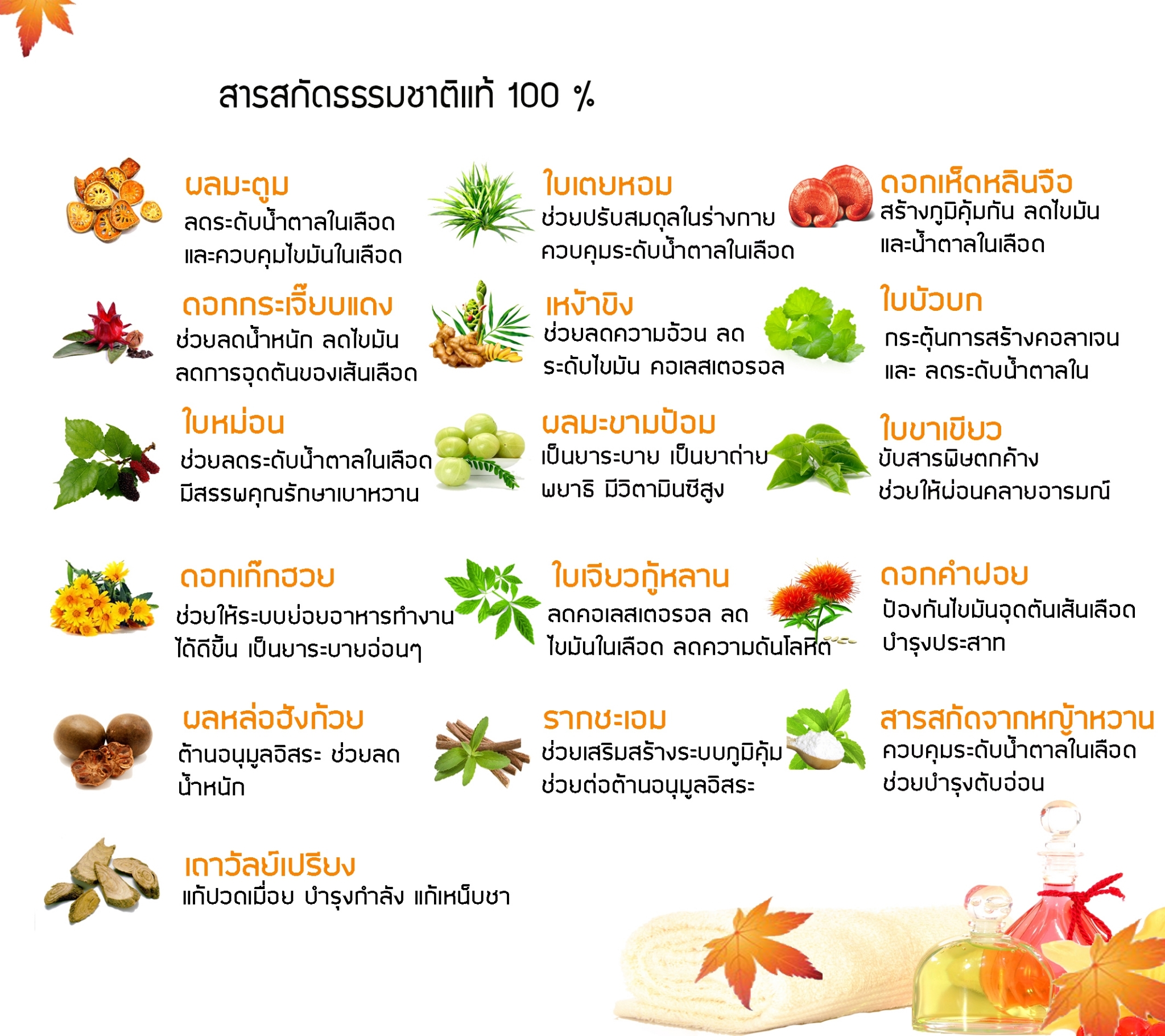 ชานะทิสัง Natisang Tea